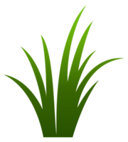 groen gras illustratie png