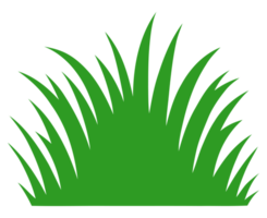 ilustración de hierba verde png