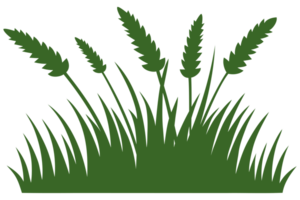 groen gras illustratie png