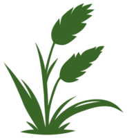 illustration de l'herbe verte png