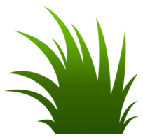 verde erba illustrazione png
