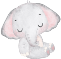 süß Baby Elefant Schlafen, bezaubernd Kindergarten Tier Aquarell png