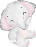 mignonne bébé l'éléphant , minuscule garderie animal aquarelle png