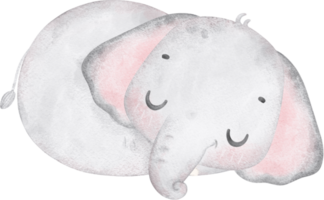 carino bambino elefante dormendo, adorabile asilo animale acquerello png