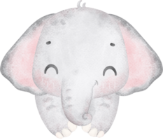 Cute baby elephant , adorable nursery animal watercolor png