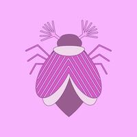 Pink may bug, chafer, pink beetle. illustration vector