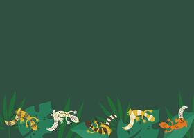 Exotic background with plants and leopard geckos on leaves. Reptile flat illustration for zoo or terrarium vector