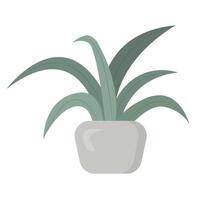 Green houseplant in flower pot isolated on white background vector