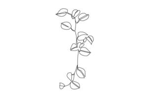 ivy plant line minimalistic concept vector