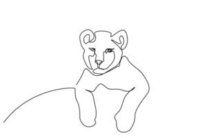 young baby lion cub portrait line art vector