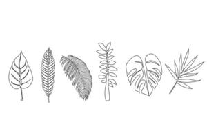 tropical tropical different types of leaves set collection objects line art vector