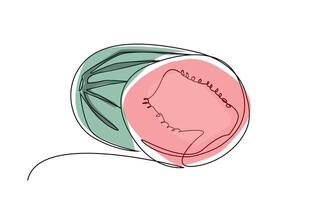 watermelon fruit food object slice line art vector