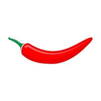 Red hot chili peper isolate on white background for graphic design, logo, web site, social media, mobile app, ui illustration vector