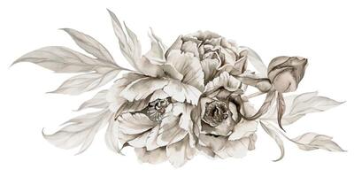 Hand drawn watercolor grisaille monochrome bouquet with peony, tulip, rose flowers, buds and leaves. Isolated on white background. Invitations, wedding or greeting cards, floral shop, print, textile vector