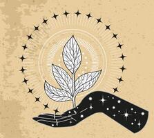 Hand drawn illustration with plant and stars in hand of fortune teller or witch. Tattoo, poster or altar print design concept, esoteric, wicca and gothic background vector