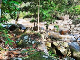 Chamang River in Pahang, Malaysia, is a nature masterpiece, the majestic river, born from cascading waterfalls, adorned with lush jungle vistas, a haven for recreation, a magnet for tourists' delight. photo