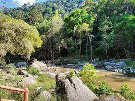 Chamang River in Pahang, Malaysia, is a nature masterpiece, the majestic river, born from cascading waterfalls, adorned with lush jungle vistas, a haven for recreation, a magnet for tourists' delight. photo