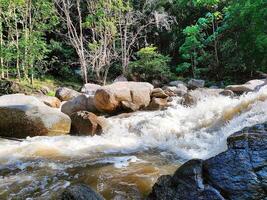 chamán río en pahang, Malasia, es un naturaleza obra maestra, el majestuoso río, nacido desde cascada cascadas, adornado con lozano selva vistas, un refugio para recreación, un imán para turistas deleitar. foto