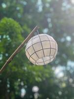 Lantern in between the greenery photo