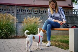 Woman and dog spending time together outdoors photo