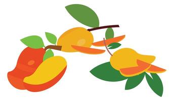mango Fruta recopilación. vector