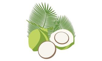 Green Coconut Illustration Design. vector