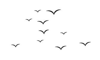 Flying Birds Design. vector