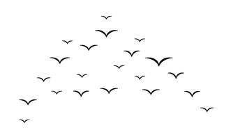 Flying Birds Design. vector