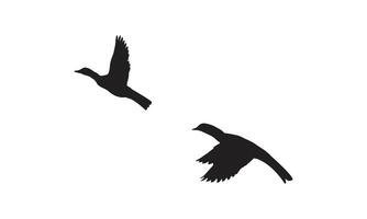 Flying Birds Design. vector