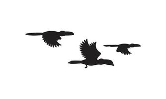 Flying Birds Design. vector