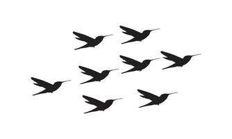 Flying Birds Design. vector