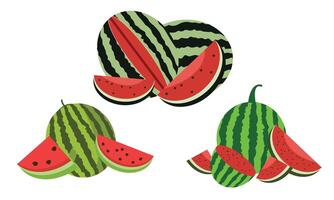 Watermelon Illustration Collection. vector