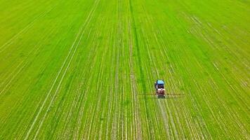 agricultural tractor spraying chemicals on green field, full-frame aerial view video