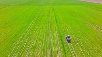 agrícola trator pulverização produtos químicos em verde campo, quadro completo aéreo Visão video