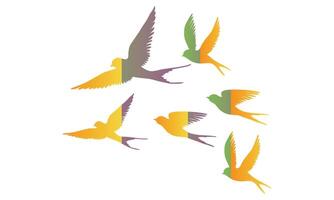 Flying Birds Design. vector