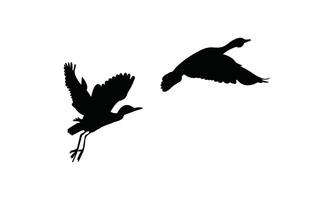 Flying Birds Design. vector