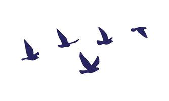 Flying Birds Design. vector