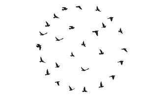 Flying Birds Design vector