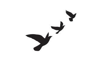 Flying Birds Design. vector