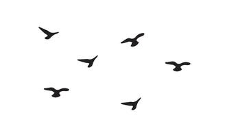 Flying Birds Design. vector