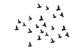 Flying Birds Design. vector