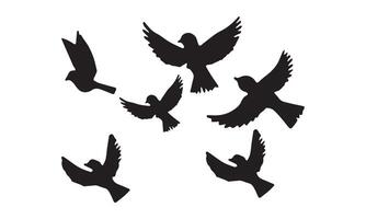 Flying Birds Design. vector