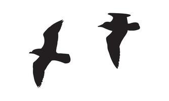 Flying Birds Design. vector