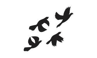 Flying Birds Design. vector