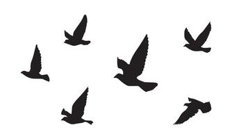 Flying Birds Design. vector