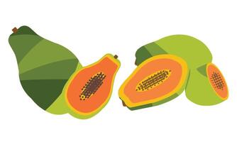 Papaya illustration Bundle. vector