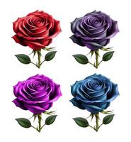 beautiful rose realistic drawing illustration isolated on white background vector