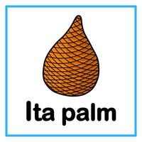 ita palm alphabet illustration vector