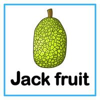 fresh jack fruit alphabet illustration vector