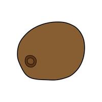 flat kiwi fruit llustration vector